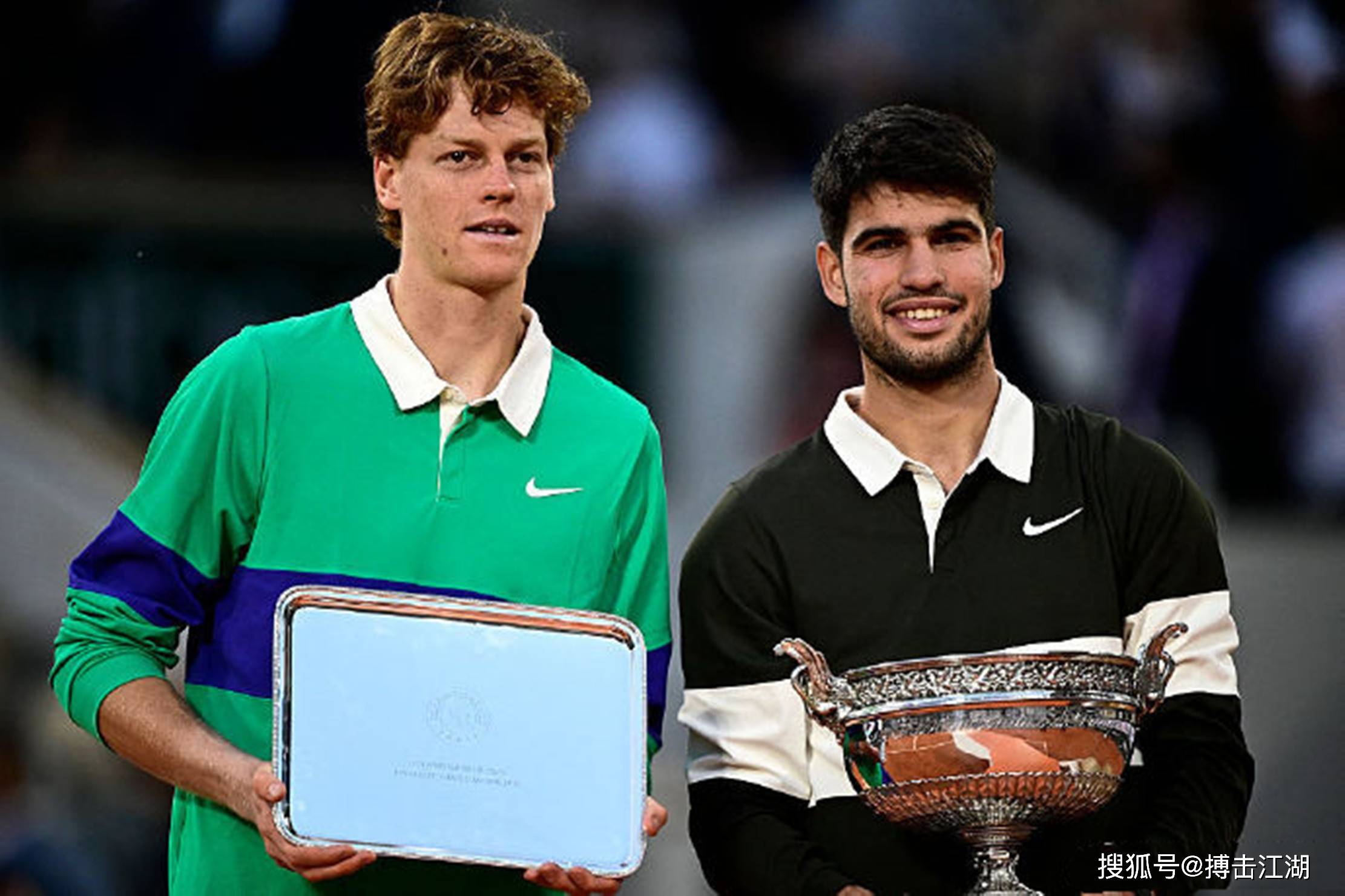 约克雷斯目 约克雷斯目